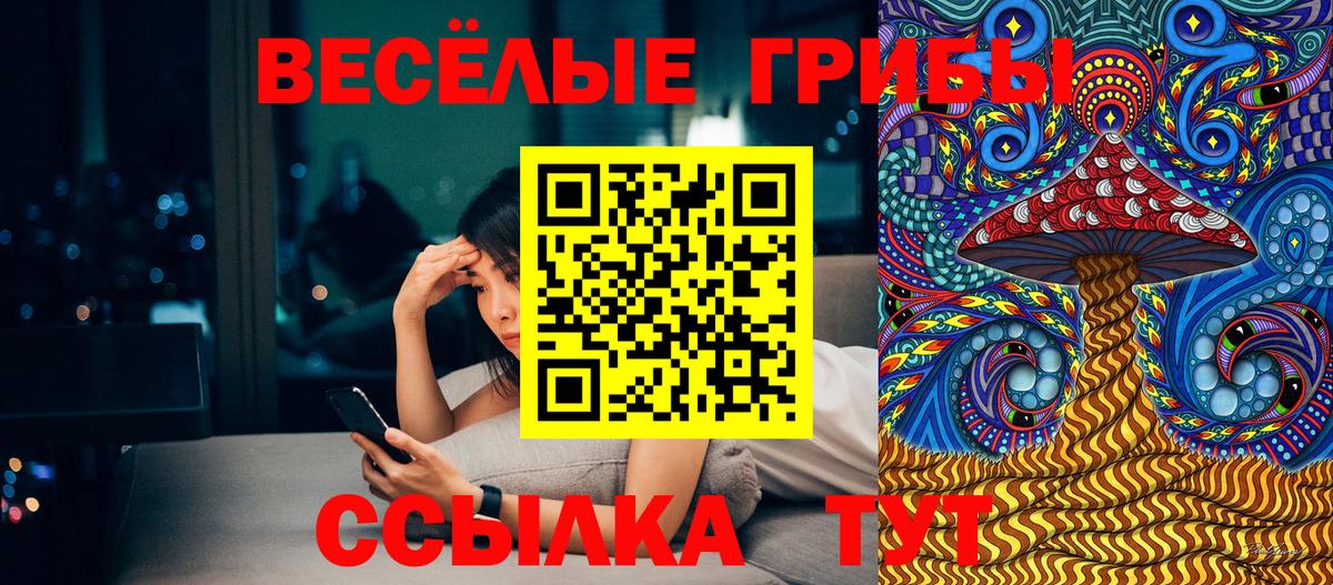 Псилоцибиновые грибы Psilocybine cubensis Тосно