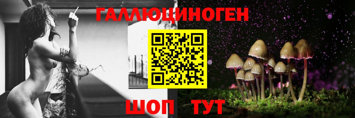 Псилоцибиновые грибы прущие грибы  Псилоцибиновые грибы Magic Shrooms  Вход с VPN  Тосно 